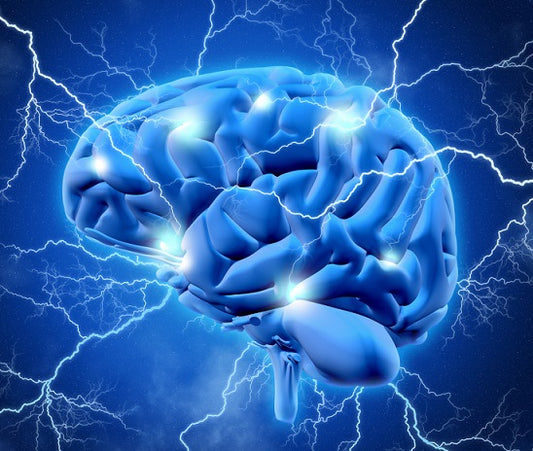 Stroke's Disruption of Stem Cell Neuron Formation