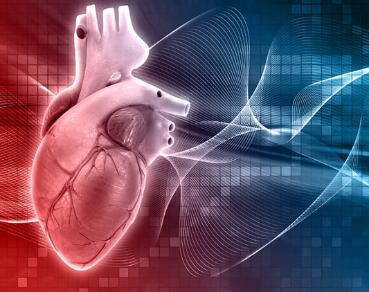 The Power of Humans Cells in Cardiovascular Research