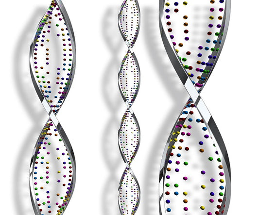 Exploring DNA Replication Mechanisms in Stem Cells