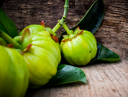 Garcinia Cambogia in Phytotreatment of Obesity flawlesseternalbeauty