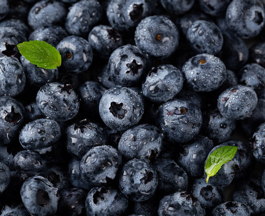 The Exquisite Blueberry, A Marvel of Health and Flavor flawlesseternalbeauty