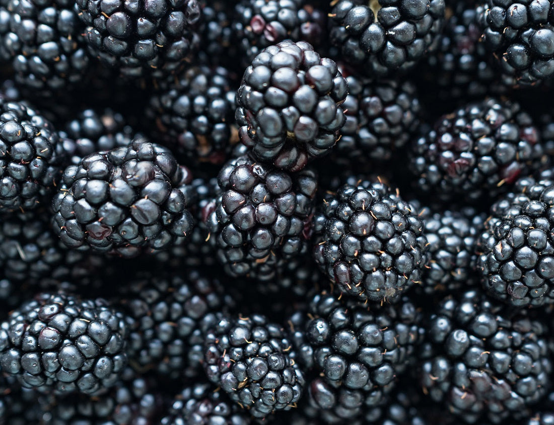 The Impressive Health Benefits of Blackberries (Part 1 of 2) flawlesseternalbeauty