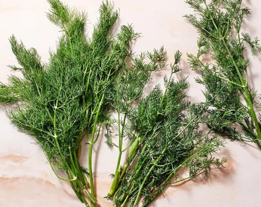 Unlocking the Power of Dill Seed Extract flawlesseternalbeauty