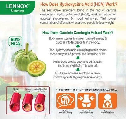 Lennox Garcinia Tea